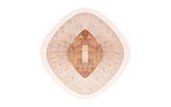 2015 3 07 Dark Days 040-white.jpg